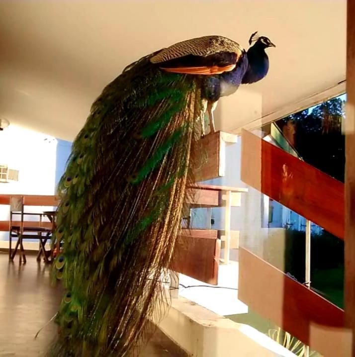 Ayuí Resort&spa Termal *