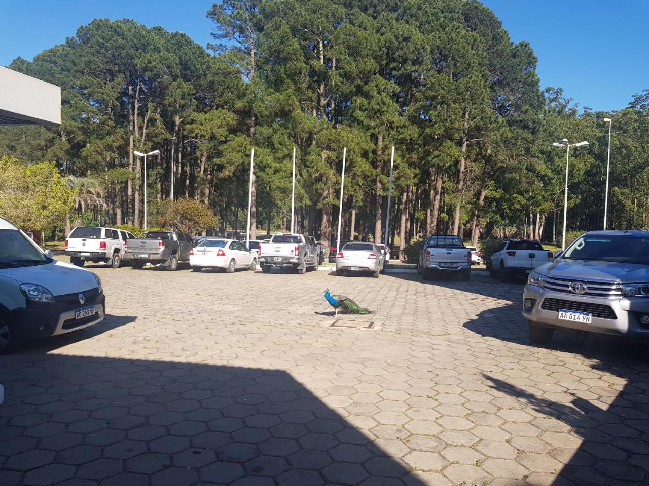 Ayuí Resort&spa Termal *